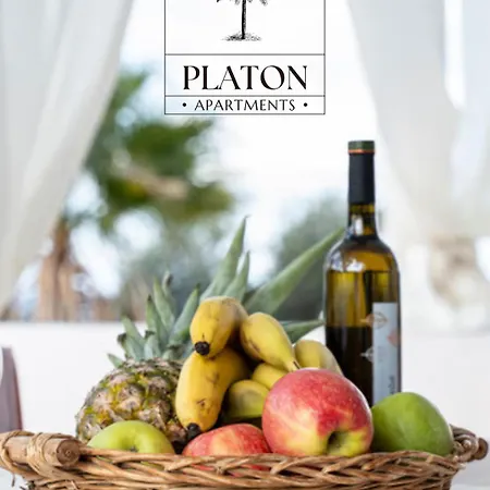 Apartment Platon *