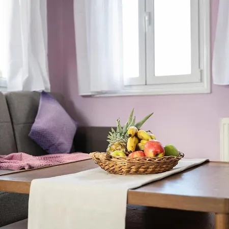 Apartment Platon *